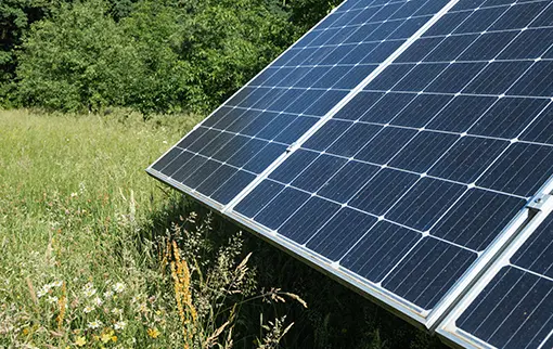 Gruntowa instalacja fotowoltaiczna Solemark z panelami słonecznymi na tle zielonej łąki i drzew
